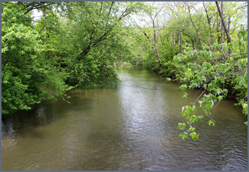 Storm Water Management